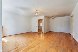 Photo 49- click for photo gallery